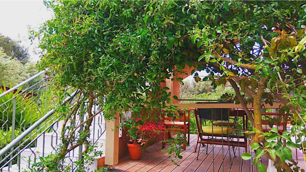 Kefalonia Apartments - Marias Studios - 2 Bedroom Apartment In Orchard, Spartia 外观 照片