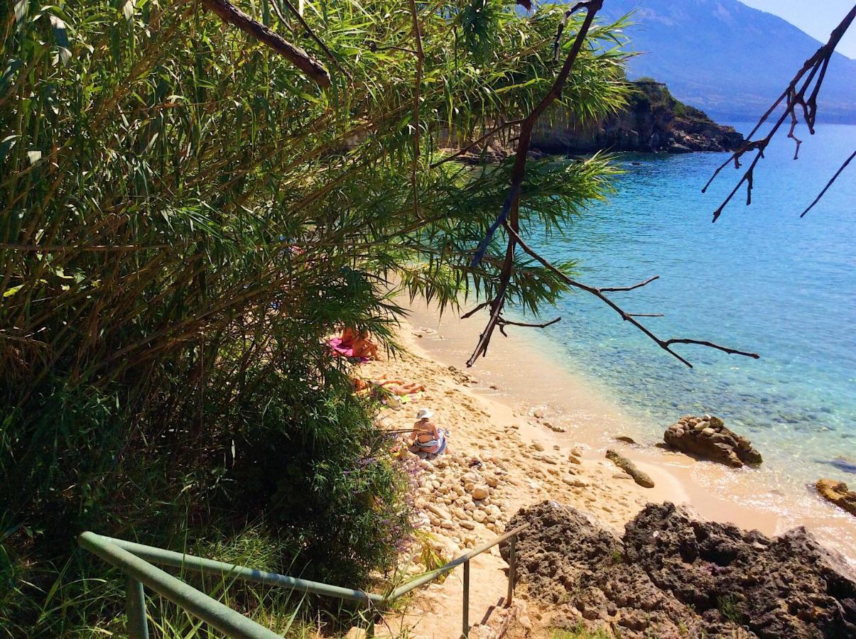 Kefalonia Apartments - Marias Studios - 2 Bedroom Apartment In Orchard, Spartia 外观 照片