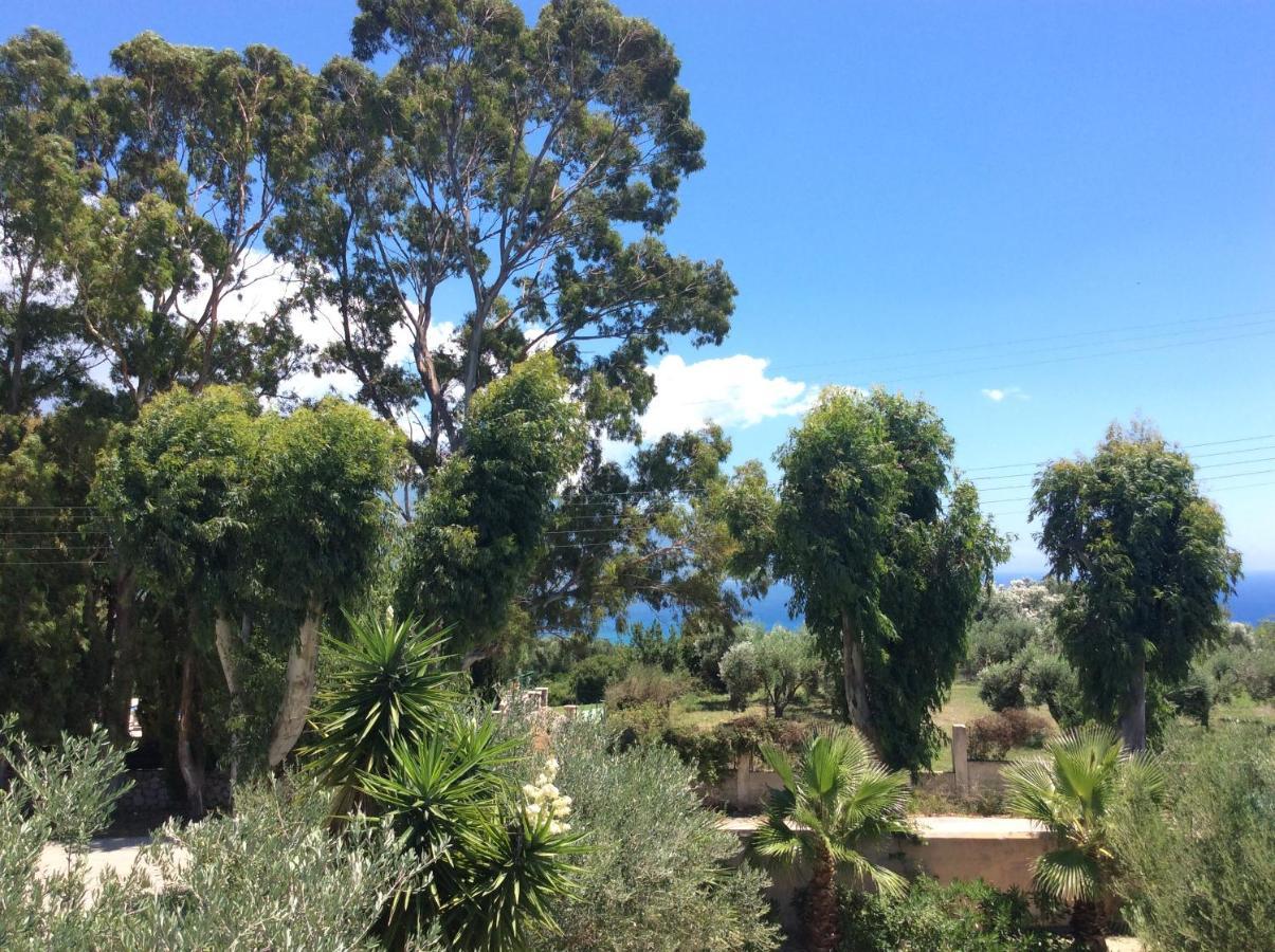 Kefalonia Apartments - Marias Studios - 2 Bedroom Apartment In Orchard, Spartia 外观 照片